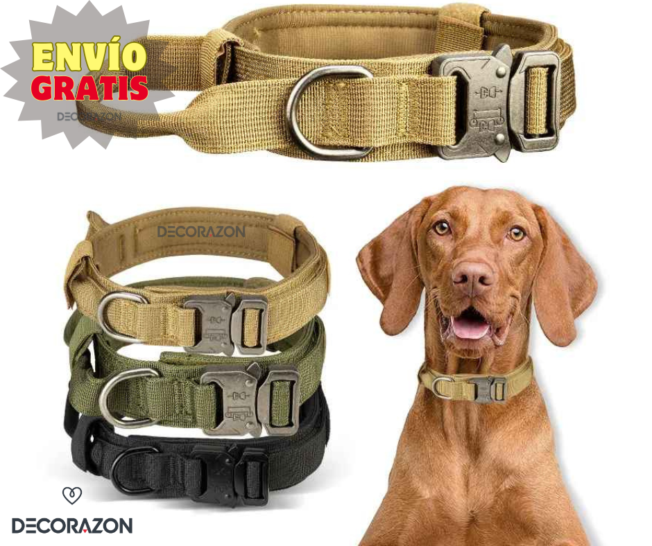 Collar Táctico Ajustable Para Perro Mediano y Grande