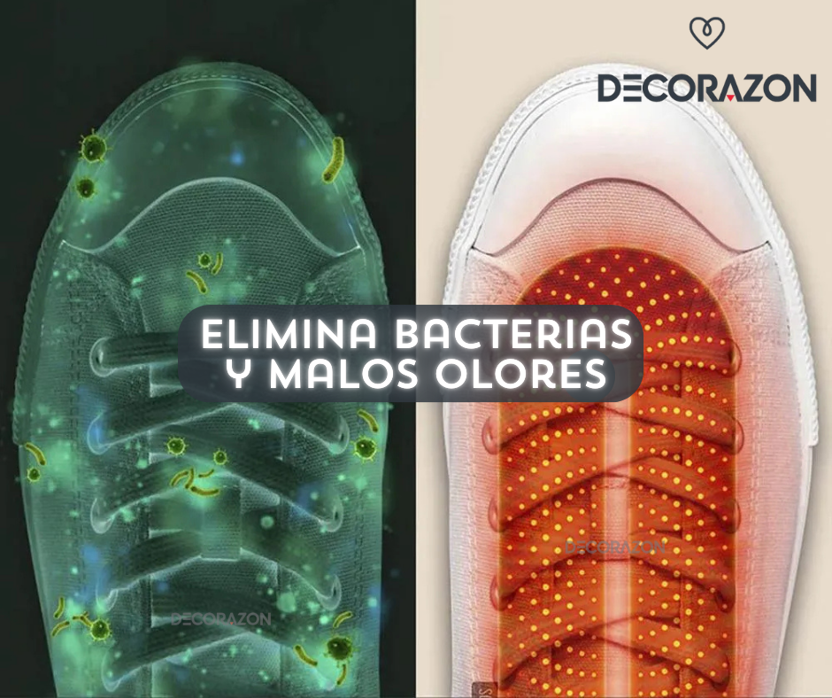 Secador y Calentador Eléctrico de Zapatos