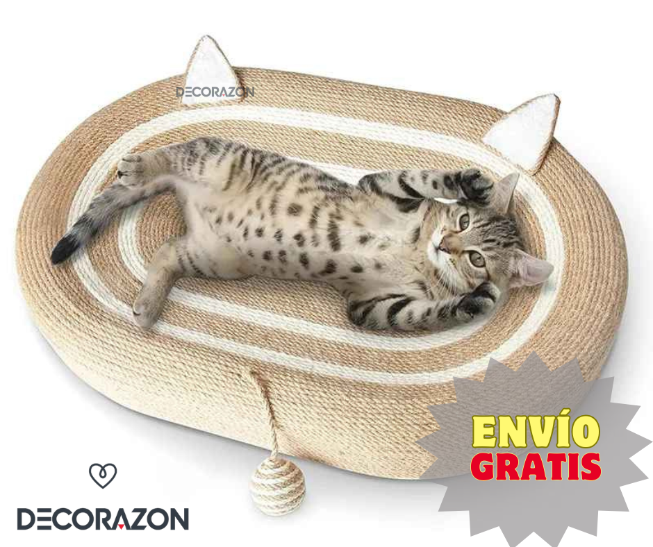 Rascador y Cama Para Gatos